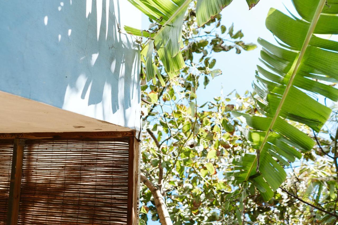 Villa Tortuga Blue House In Banana Plantation Arucas Exterior foto